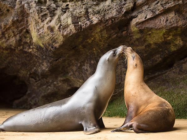 Galapagos island hopping tailor made vacation