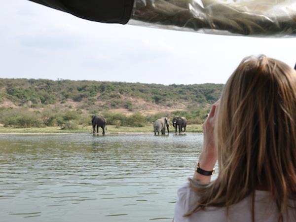 Classic Uganda safari and gorilla trekking