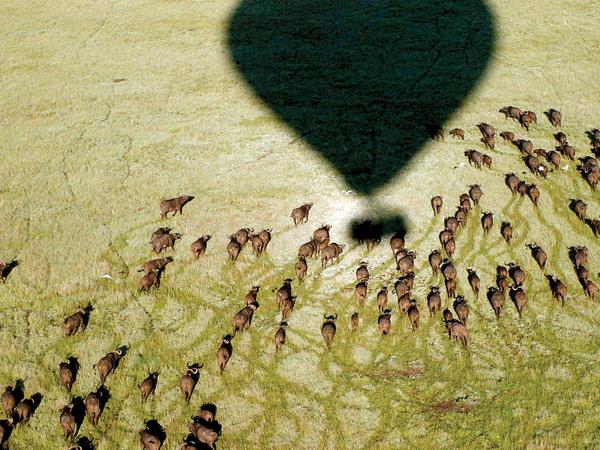 Kenya and Tanzania family safari, small group