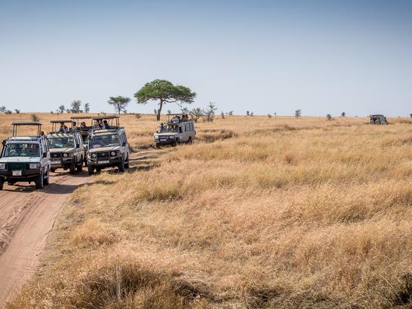 Kenya and Tanzania family safari, small group