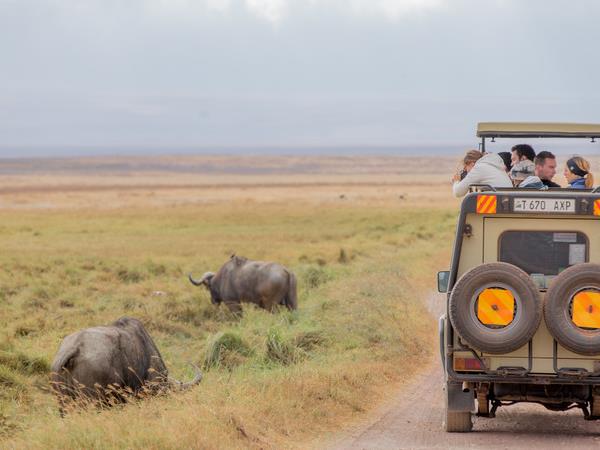 Kenya and Tanzania family safari, small group
