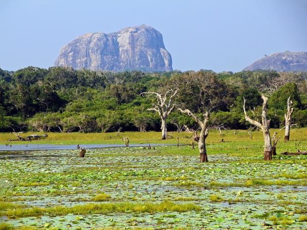 Sri Lanka luxury wildlife vacation