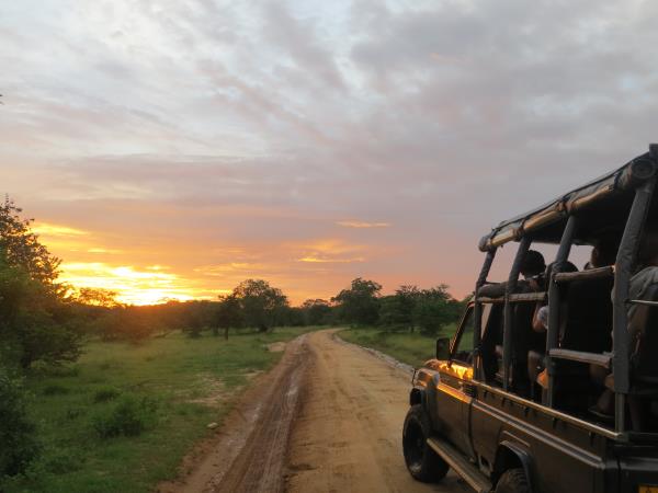 Sri Lanka luxury wildlife vacation