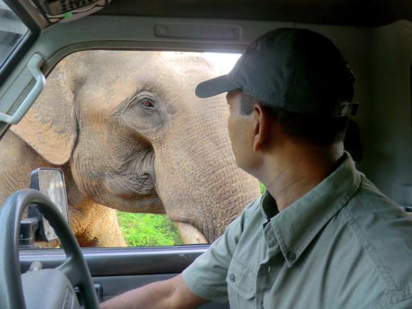 Sri Lanka luxury wildlife vacation