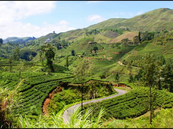 Sri Lanka luxury wildlife vacation