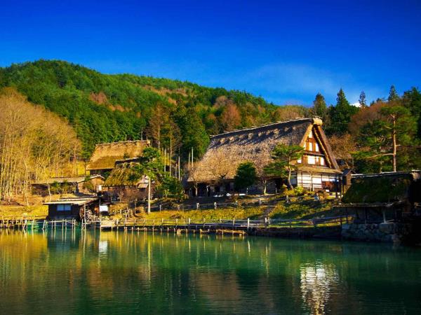 Japan art and food tour, tailor made
