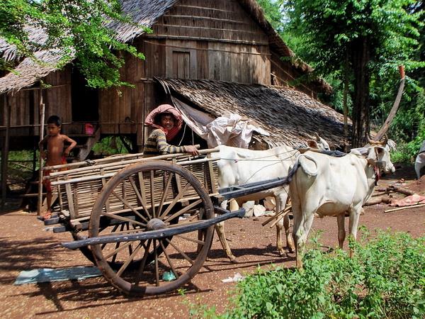 Cambodia vacations, including Angkor