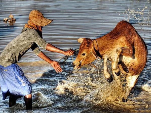 Cambodia photography vacation