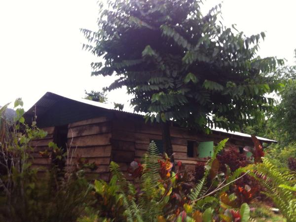 Dominica ecolodge vacation