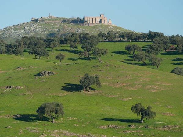 Walking and gastronomy vacation in Andalucia