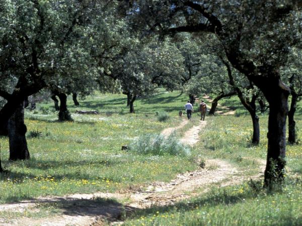 Walking and gastronomy vacation in Andalucia