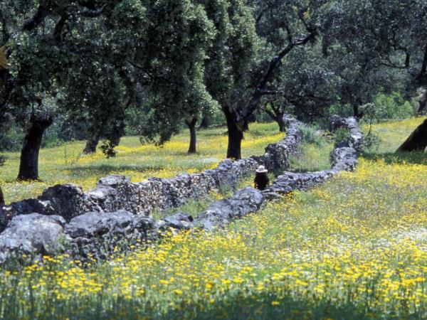 Walking and gastronomy vacation in Andalucia