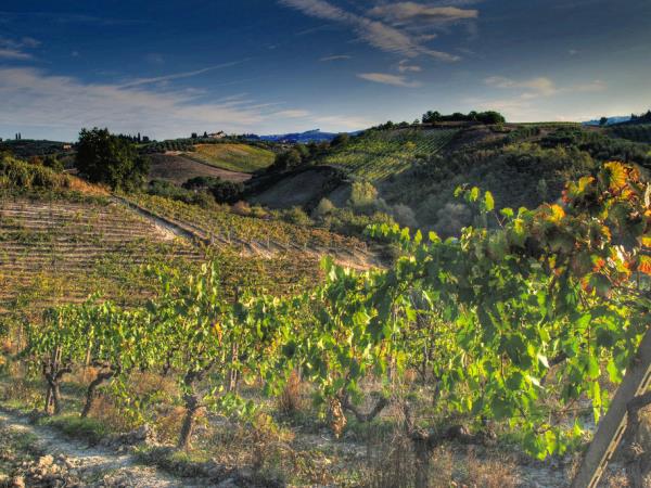 Highlights of Italy tour, Milan to Florence