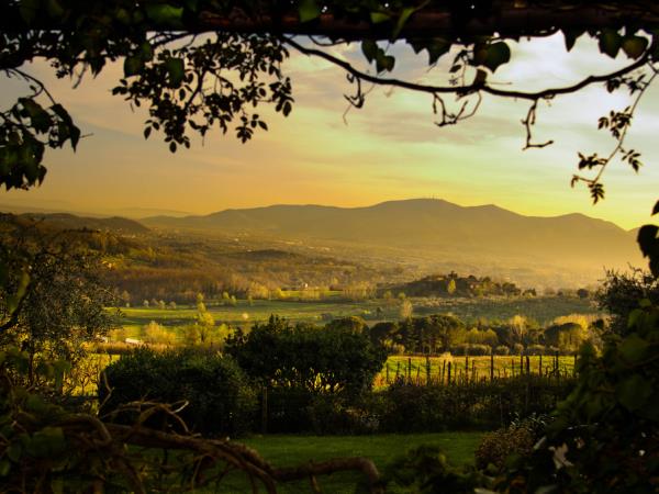 Highlights of Italy tour, Milan to Florence