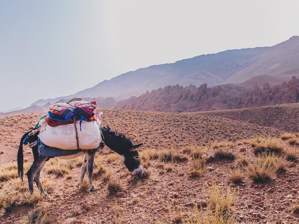 Women only tour in Morocco