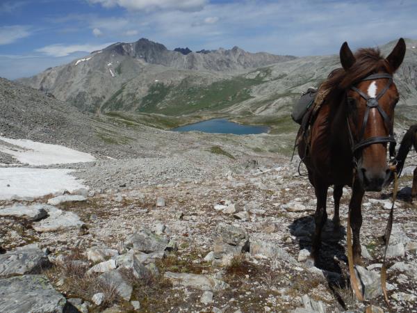 Kazakhstan horse riding holiday