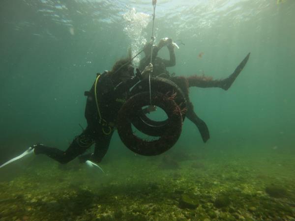 Marine Conservation in Portugal