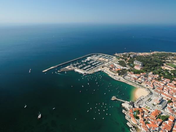 Marine Conservation in Portugal