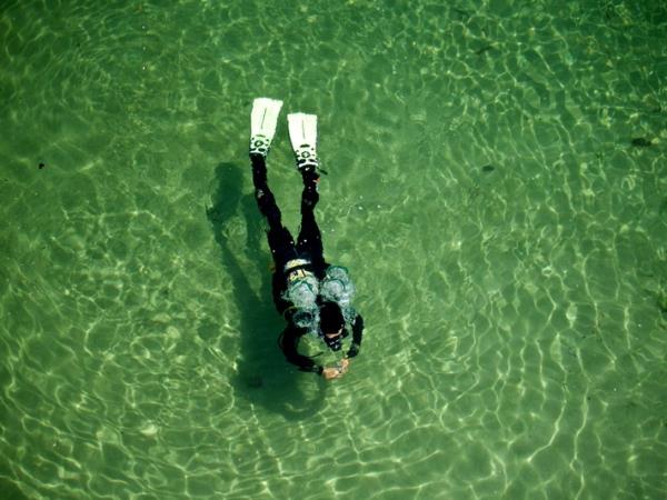 Marine Conservation in Portugal