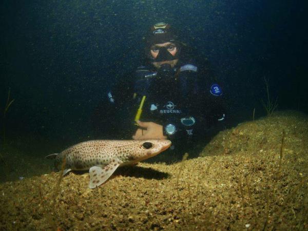 Marine Conservation in Portugal