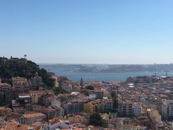 Marine Conservation in Portugal