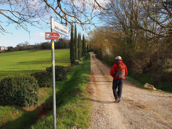 Francigena Way walking vacation Lucca to Siena