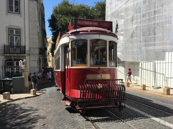 Volunteer in Portugal renovating homes