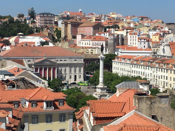 Volunteer in Portugal renovating homes