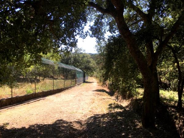Volunteer at a wolf sanctuary in Portugal