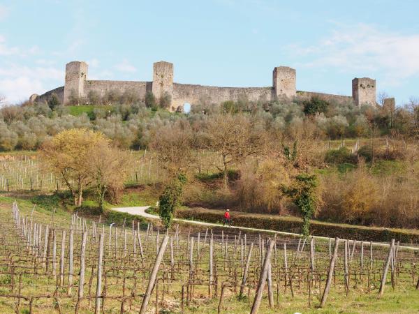 Francigena Way walking vacation Lucca to Siena