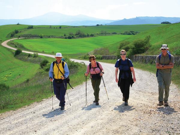 Francigena Way walking vacation Lucca to Siena