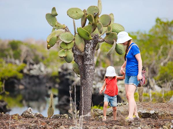 Ecuador and Galapagos tour