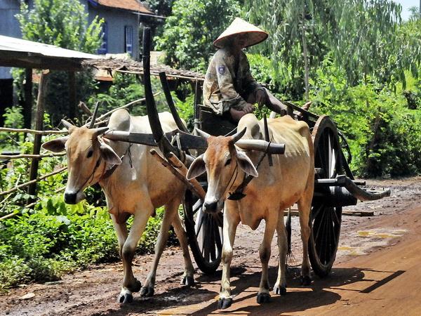 Indochina vacation adventure