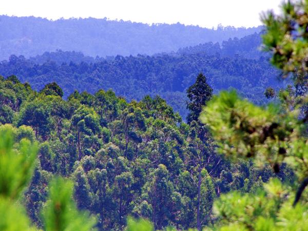 The Finisterre Way hiking vacation