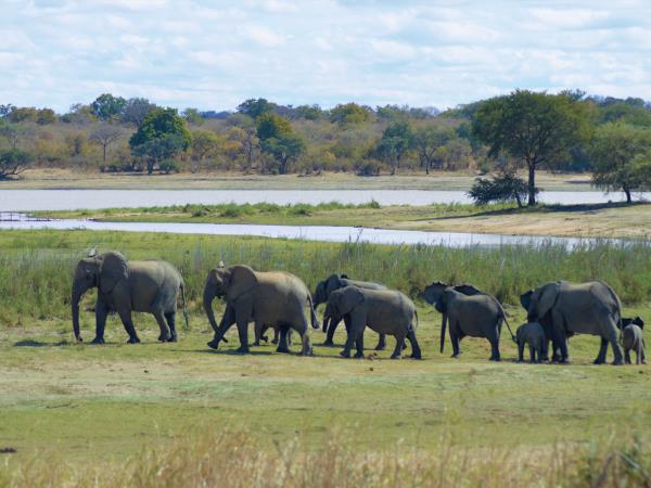 Malawi conservation research experience