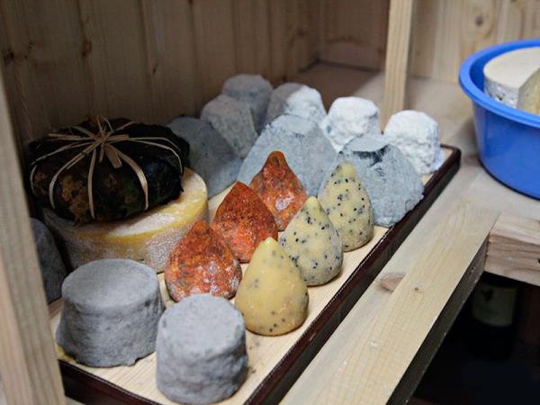 Georgia food tour