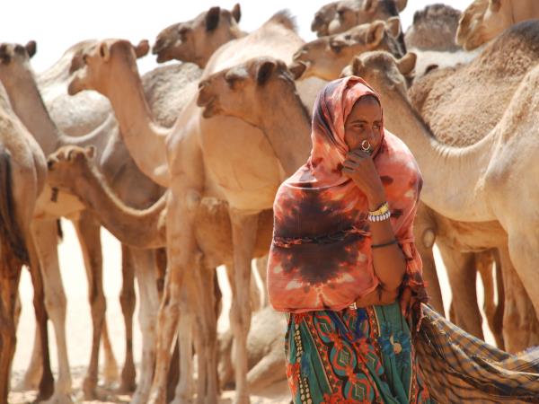 The Gerewol Festival and Ennedi Mountains tour, Chad