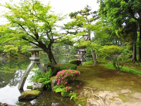 Japan 15 day tour, ancient forts & futuristic cities