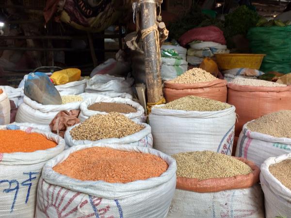 Ethiopia vegan tour