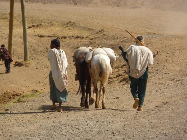 Ethiopia vegan tour