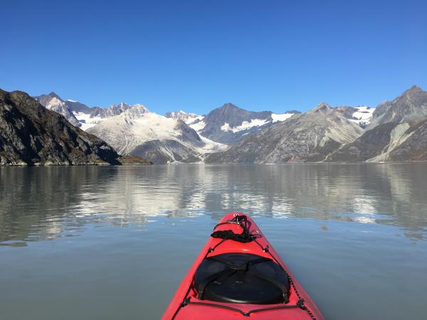 Alaska Glacier Bay and wildlife cruise 