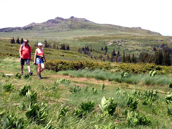 Bulgaria walking vacation, Rila Mountains