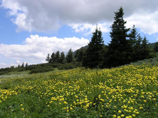 Bulgaria walking vacation, Rila Mountains