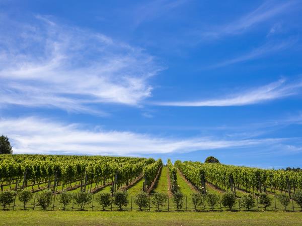 Luxury self drive vacation in New Zealand