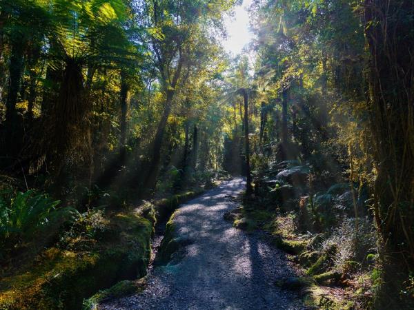 Honeymoon in New Zealand