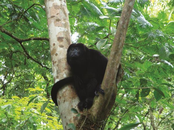 Costa Rica tailor made adventure