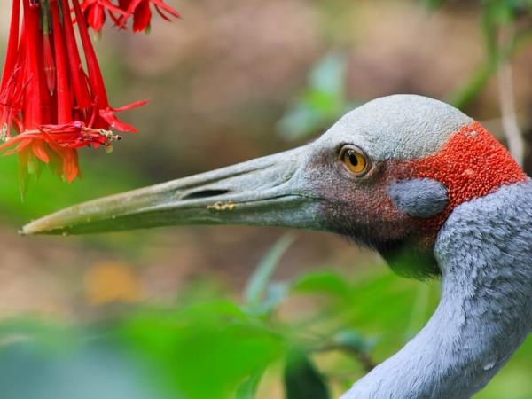 New Zealand wildlife vacation