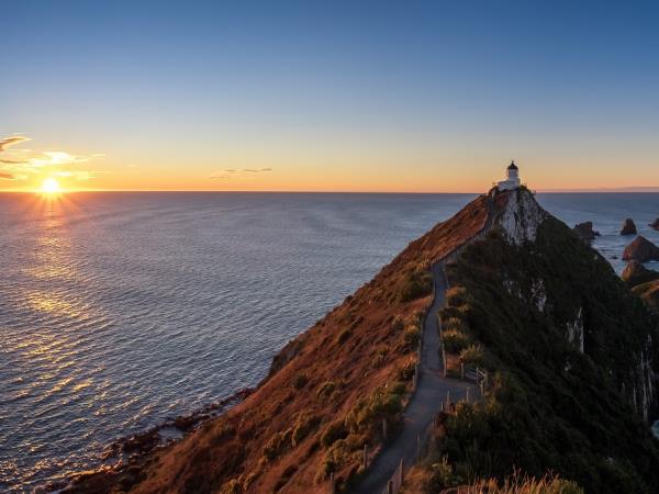 New Zealand wildlife vacation