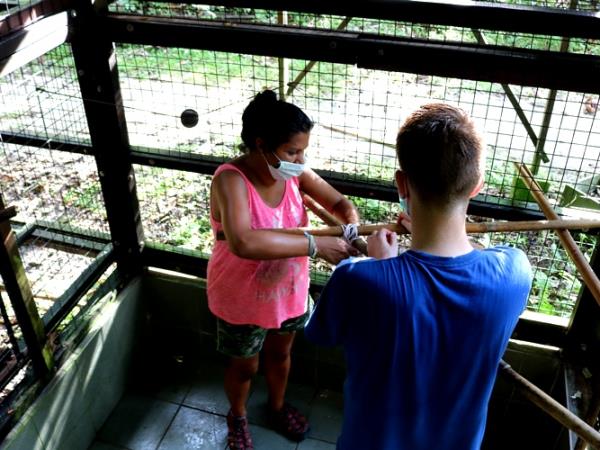Borneo orangutan conservation volunteering
