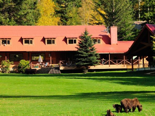 Grizzly bear tour in British Columbia